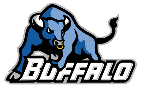 Buffalo_medium
