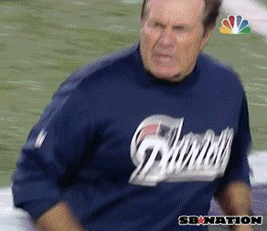 Bill Belichick grabs referee after losing to Ravens