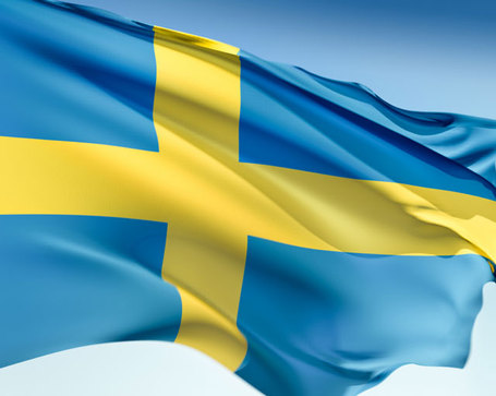Sweden-flag1_medium