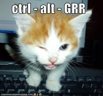 Funny-pictures-kitten-presses-ctrl-alt-grr_medium
