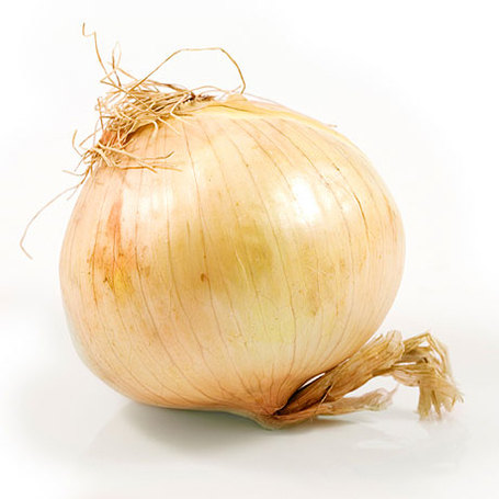 Vidalia-onion-070108-lg-57895205_medium