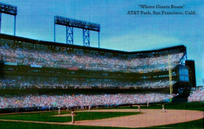 AT&T Park Stadium Postcard San Francisco Giants 