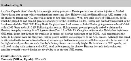 Dobberhockey_holtby_blurb_medium