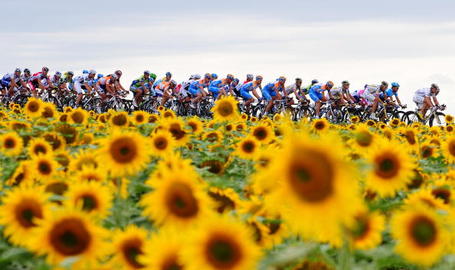 Tour de France Podium Cafe