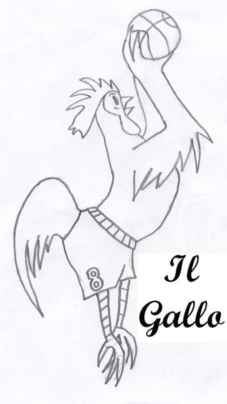 Gallo6_medium
