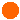Orange-circle_medium