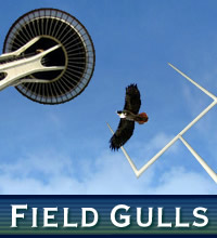 Fieldgulls_medium