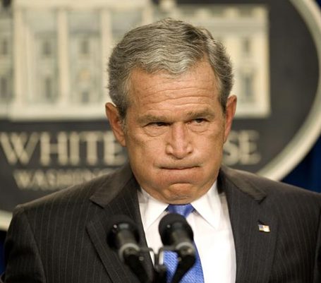 Bush-disgusted_medium