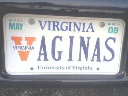 Vaginas_license_plate_medium