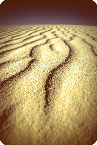 Sand_ripples_medium