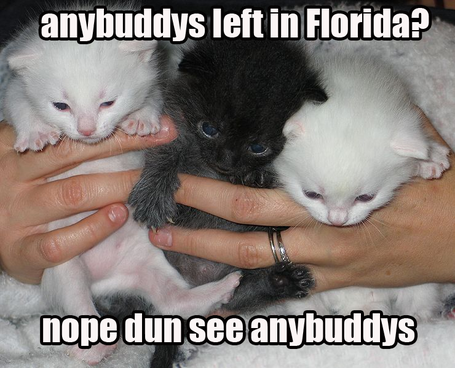 Nhl Trade Deadline 2011 Florida Panthers Lolcats Recap Litter Box Cats