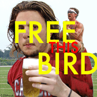 Freethisbird_medium
