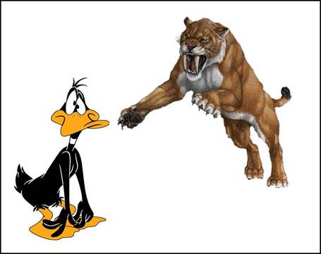 Daffy_duck_vs_pred_medium