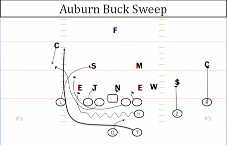 Auburn_buck_sweep_medium