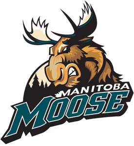 Manitoba_moose_medium