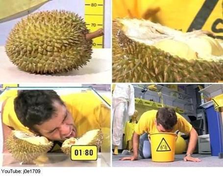 Durianpuke_medium