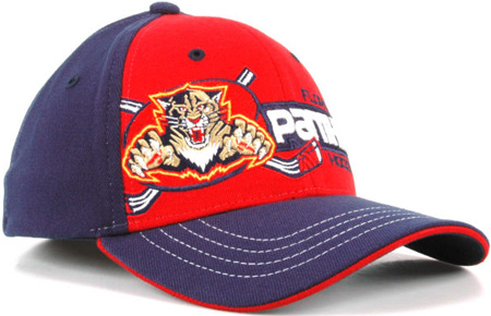 Florida-panthers-fitteds-hats-caps-nhl-hockey_medium