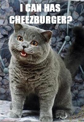 I-can-has-cheezburger_medium