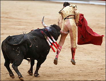 99_bullfight_medium