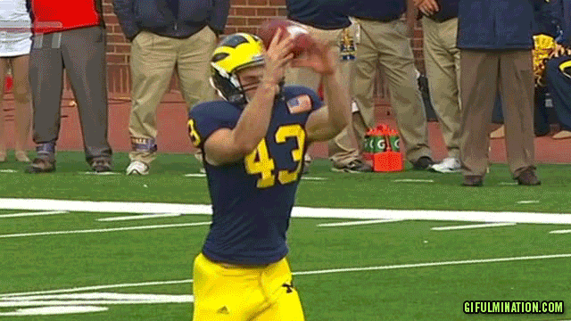 THE-MORTIFIED-PUNTER1.gif