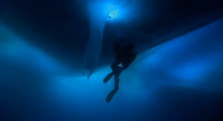 Antarctic-diving-or-iowa-lol_medium