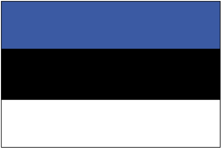 Estonian_flag_medium