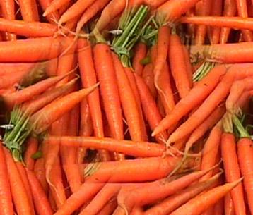 Carrots2_medium