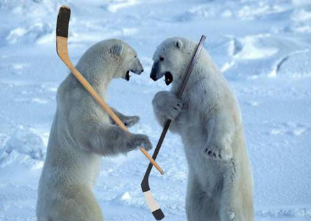 Hockey_polar_bears_medium