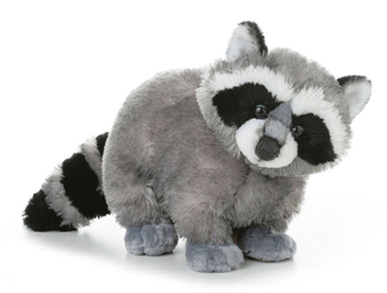Stuffed_raccoon_medium