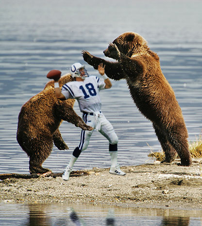 Bears-attacking-peyton-manning_medium