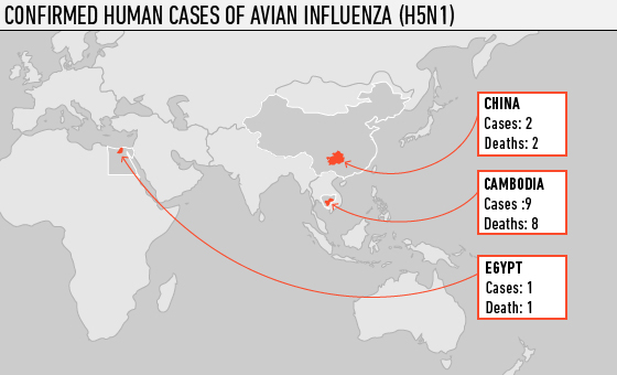 Avian-flu-cases-march-2013-who